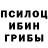 Псилоцибиновые грибы MAGIC MUSHROOMS Klybnica